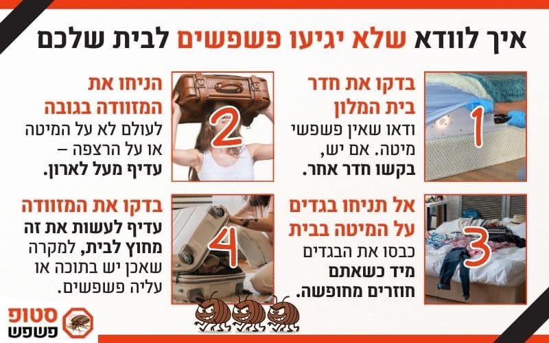 איך למנוע פשפשים בבית