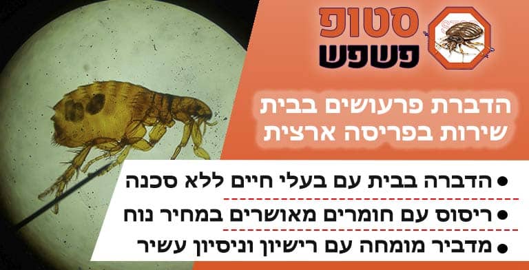 פרעושים בבית
