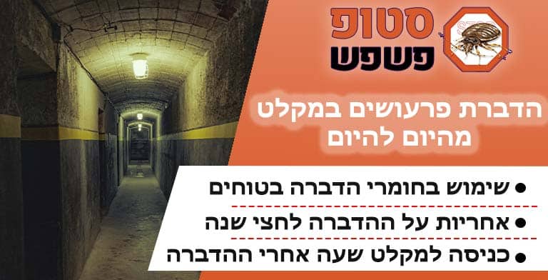 פשפשים במקלט